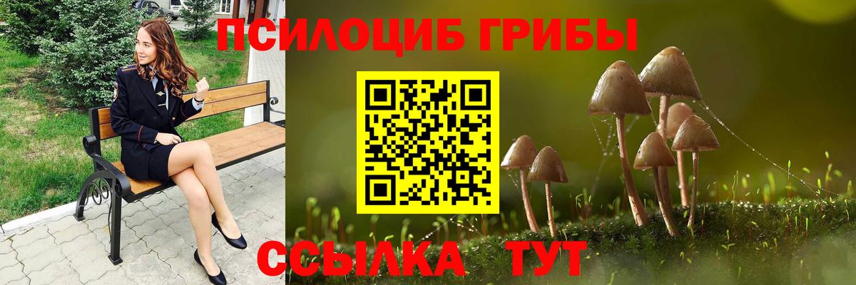 Галлюциногенные грибы GOLDEN TEACHER  Псилоцибиновые грибы Cubensis  Холмск  Вход с VPN 