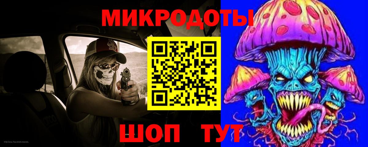 Галлюциногенные грибы Psilocybine cubensis Холмск
